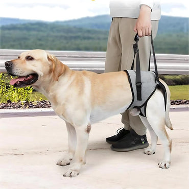 dog hip support sling