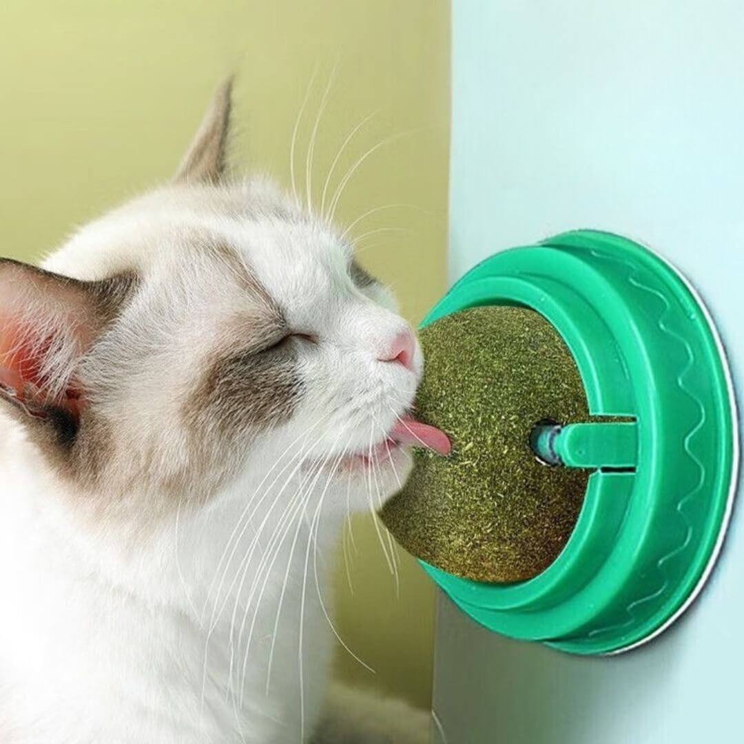 Catnip Balls
