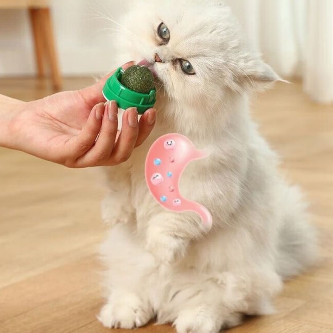 Catnip Balls