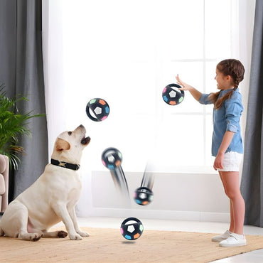 Dog Resistance Teeth Toy