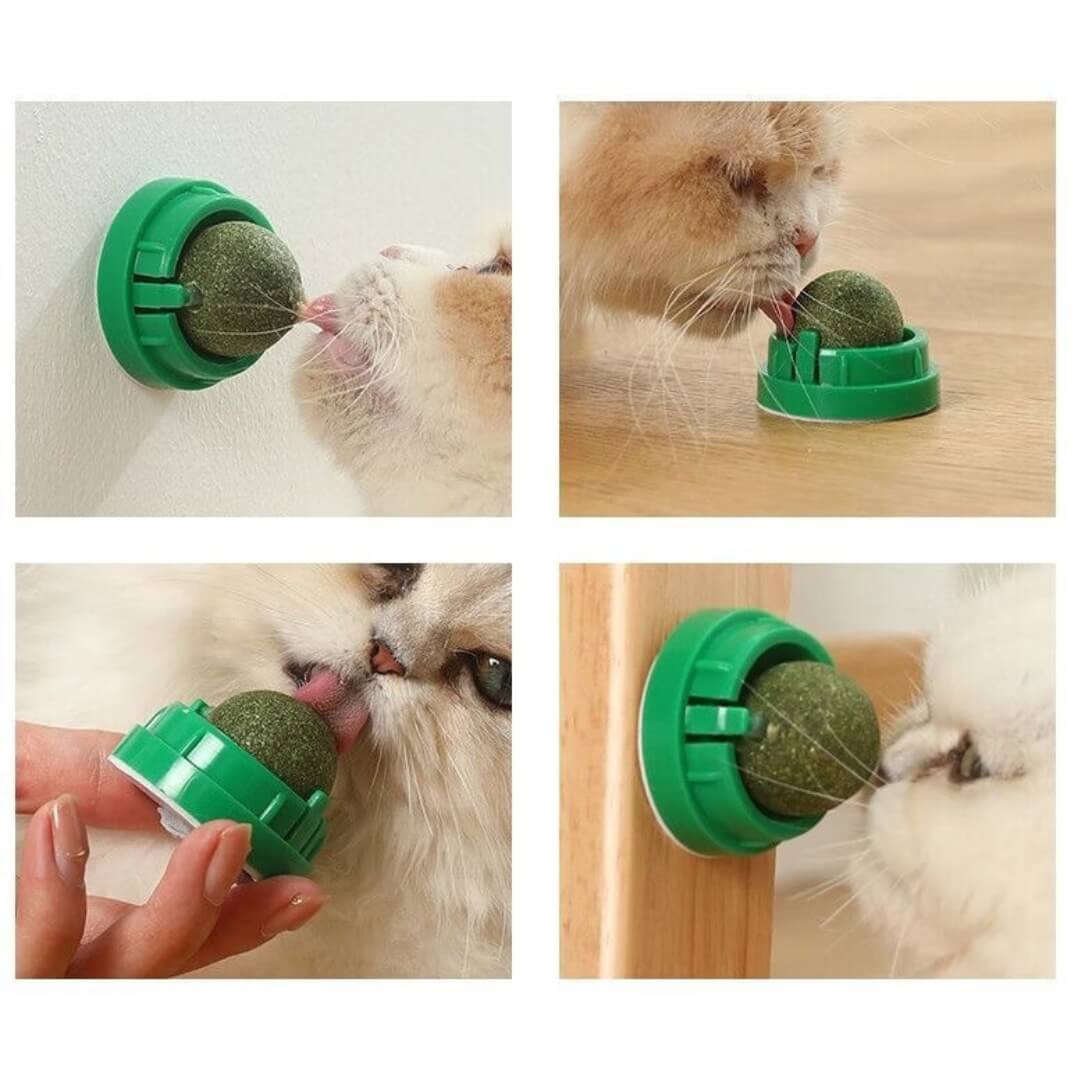 Catnip Balls