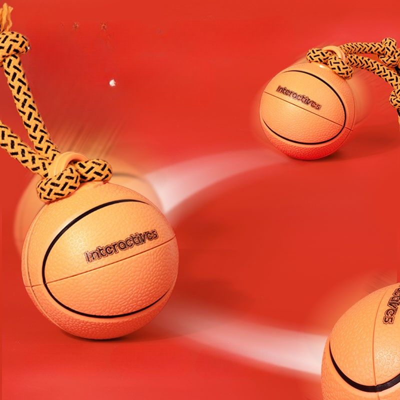 Pet electric Ball Toy