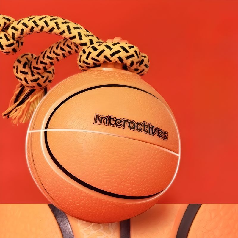 Pet electric Ball Toy