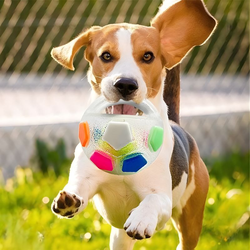 Dog Resistance Teeth Toy