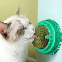 Catnip Balls
