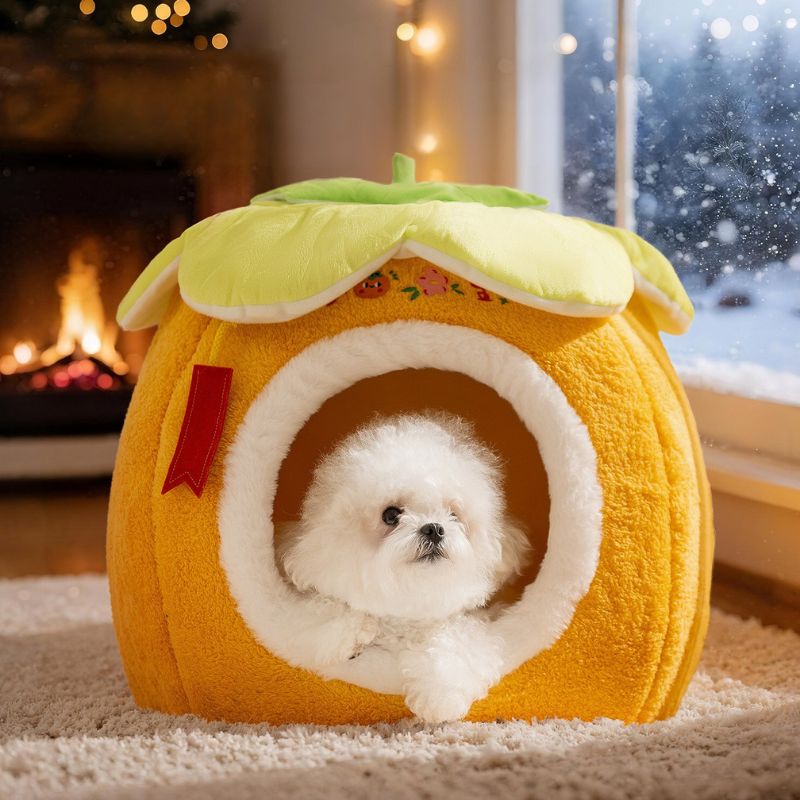 Pet Winter Nest