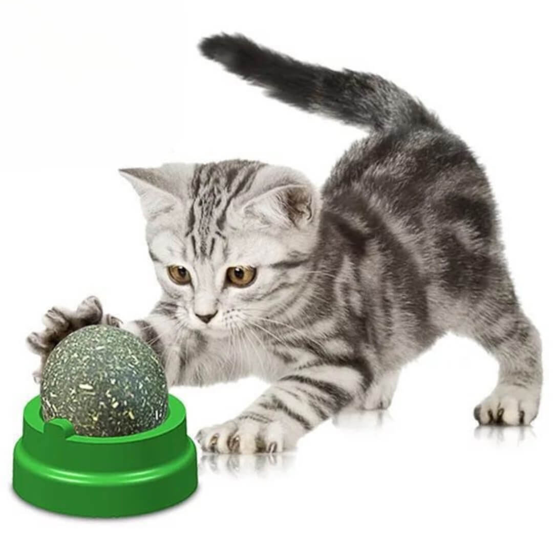 Catnip Balls