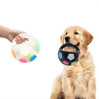 Dog Resistance Teeth Toy