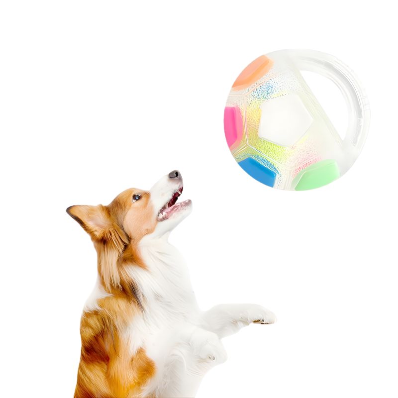 Dog Resistance Teeth Toy