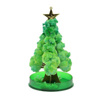 Christmas Tree Magic Watering Paper Tree
