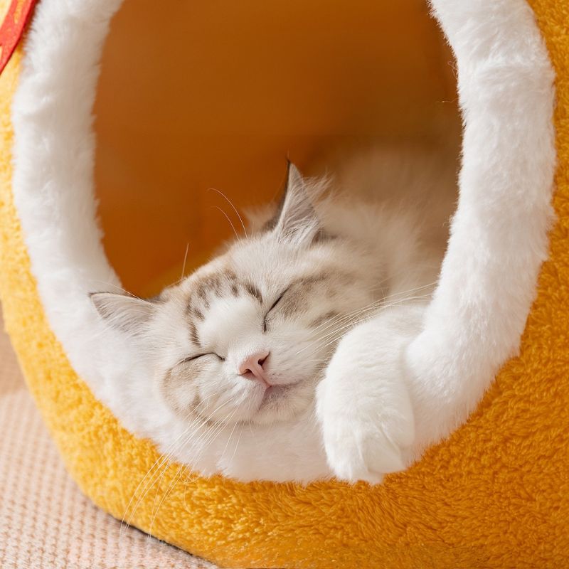 Pet Winter Nest