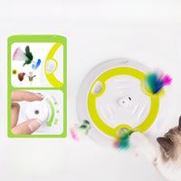 Cat Teaser